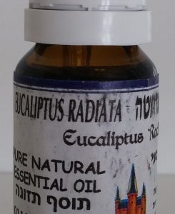 אקליפטוס ראדיאטה